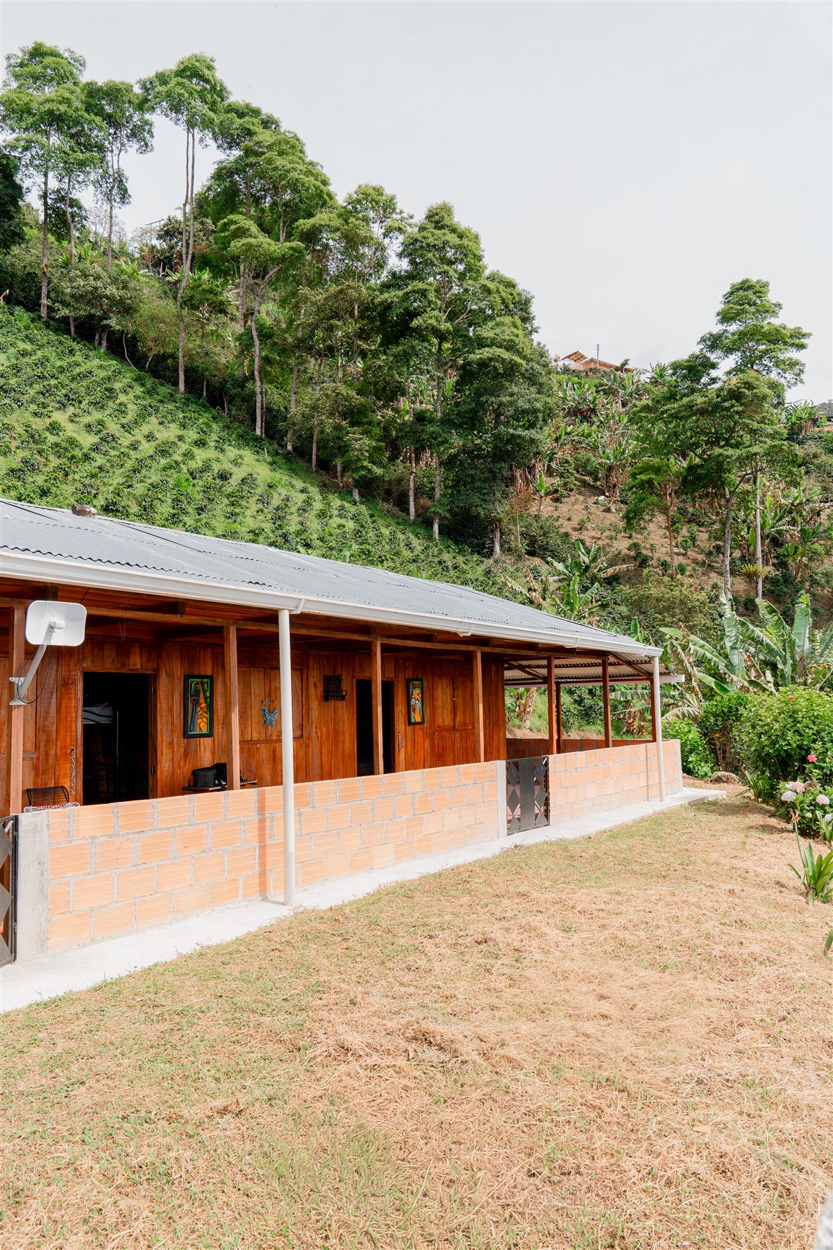 Casa de la finca La Esmeralda entre cafetales